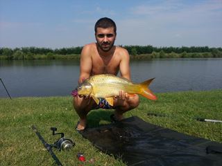 fish
